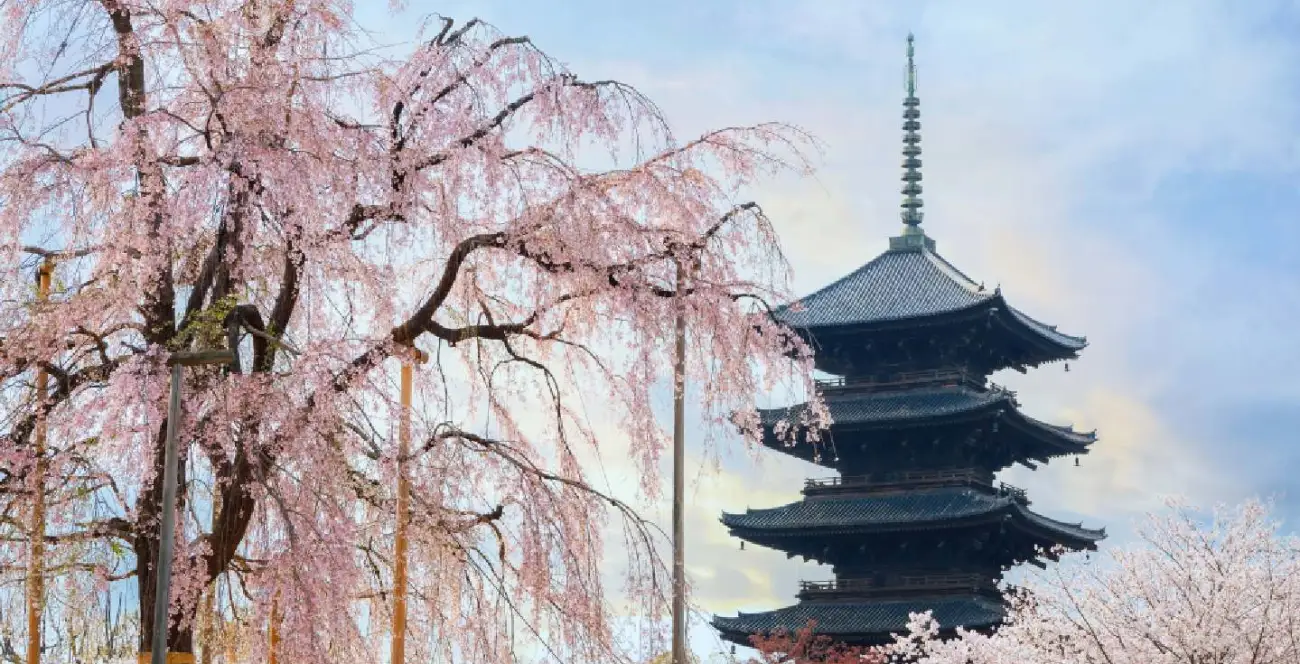 Tempio Toji Kyoto: Storia, Biglietti e Come Arrivare